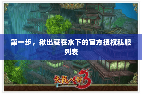 第一步，揪出藏在水下的官方授权私服列表