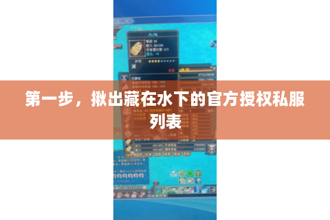 第一步，揪出藏在水下的官方授权私服列表