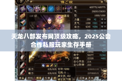 天龙八部发布网顶级攻略，2025公会合作私服玩家生存手册