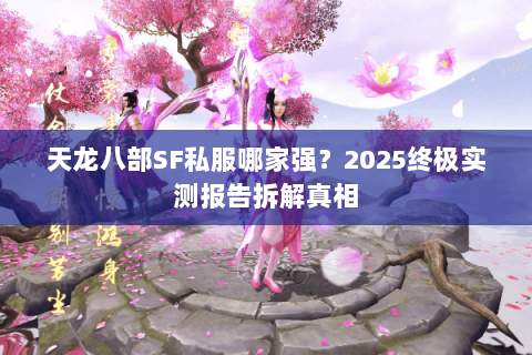 天龙八部SF私服哪家强?2025终极实测报告拆解真相 天龙八部SF私服哪家强?2025终极实测报告拆解真相