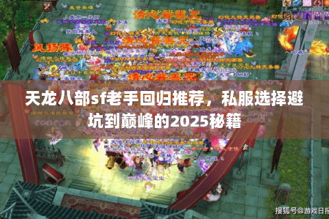 天龙八部sf老手回归推荐，私服选择避坑到巅峰的2025秘籍