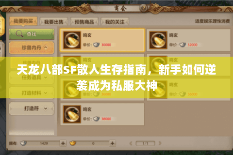 天龙八部SF散人生存指南,新手如何逆袭成为私服大神 天龙八部SF散人生存指南,新手如何逆袭成为私服大神