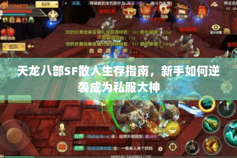 天龙八部SF散人生存指南,新手如何逆袭成为私服大神 天龙八部SF散人生存指南,新手如何逆袭成为私服大神