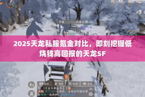 2025天龙私服氪金对比,即刻挖掘低烧钱高回报的天龙SF 2025天龙私服氪金对比,即刻挖掘低烧钱高回报的天龙SF