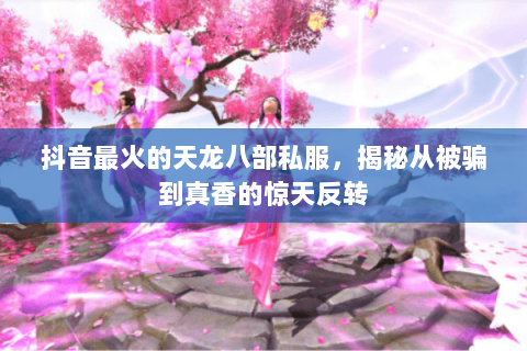 抖音最火的天龙八部私服,揭秘从被骗到真香的惊天反转 抖音最火的天龙八部私服,揭秘从被骗到真香的惊天反转