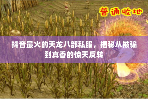 抖音最火的天龙八部私服,揭秘从被骗到真香的惊天反转 抖音最火的天龙八部私服,揭秘从被骗到真香的惊天反转