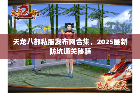 天龙八部私服发布网合集，2025最新防坑通关秘籍