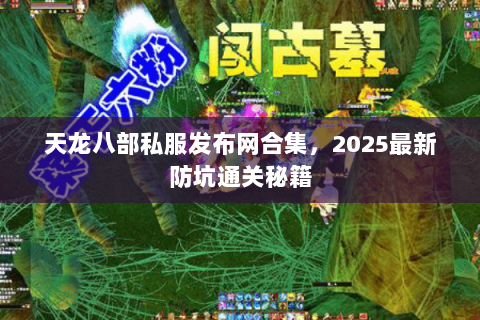 天龙八部私服发布网合集，2025最新防坑通关秘籍