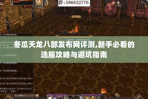 冬瓜天龙八部发布网评测,新手必看的选服攻略与避坑指南 冬瓜天龙八部发布网评测,新手必看的选服攻略与避坑指南