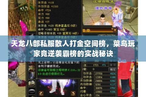 天龙八部私服散人打金空间榜,菜鸟玩家竟逆袭霸榜的实战秘诀 天龙八部私服散人打金空间榜,菜鸟玩家竟逆袭霸榜的实战秘诀
