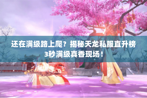 还在满级路上爬？揭秘天龙私服直升榜3秒满级真香现场！