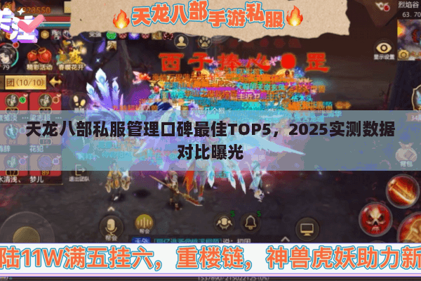 天龙八部私服管理口碑最佳TOP5,2025实测数据对比曝光 天龙八部私服管理口碑最佳TOP5,2025实测数据对比曝光