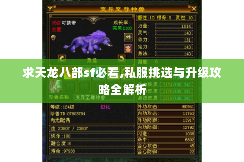 求天龙八部sf必看,私服挑选与升级攻略全解析 求天龙八部sf必看,私服挑选与升级攻略全解析