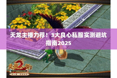 天龙主播力荐!3大良心私服实测避坑指南2025 天龙主播力荐!3大良心私服实测避坑指南2025