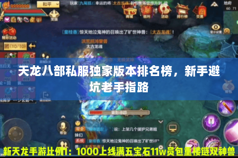 天龙八部私服独家版本排名榜,新手避坑老手指路 天龙八部私服独家版本排名榜,新手避坑老手指路