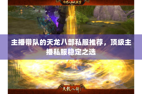 主播带队的天龙八部私服推荐，顶级主播私服稳定之选