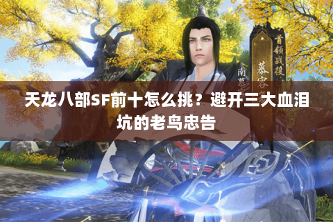 天龙八部SF前十怎么挑?避开三大血泪坑的老鸟忠告 天龙八部SF前十怎么挑?避开三大血泪坑的老鸟忠告