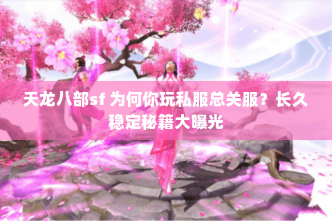 天龙八部sf 为何你玩私服总关服?长久稳定秘籍大曝光 天龙八部sf 为何你玩私服总关服?长久稳定秘籍大曝光