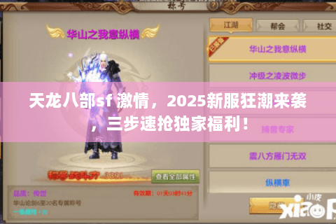 天龙八部sf 激情，2025新服狂潮来袭，三步速抢独家福利！