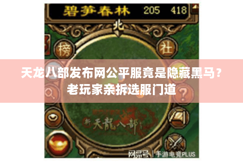 天龙八部发布网公平服竟是隐藏黑马？老玩家亲拆选服门道