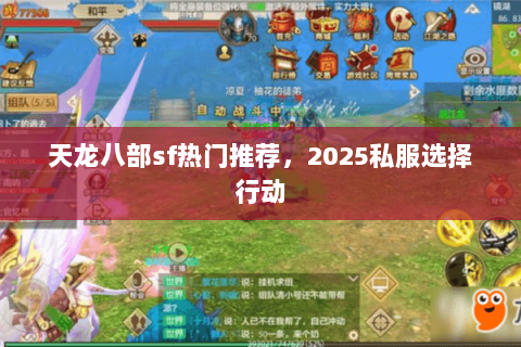 天龙八部sf热门推荐,2025私服选择行动 天龙八部sf热门推荐,2025私服选择行动