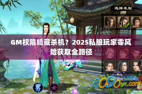 GM权限暗藏杀机？2025私服玩家零风险获取全路径