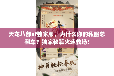 天龙八部sf独家服，为什么你的私服总翻车？独家秘籍火速救场！
