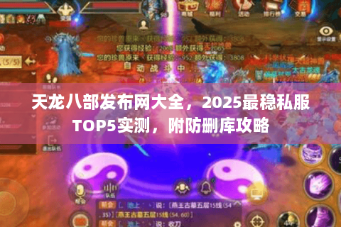 天龙八部发布网大全,2025最稳私服TOP5实测,附防删库攻略 天龙八部发布网大全,2025最稳私服TOP5实测,附防删库攻略