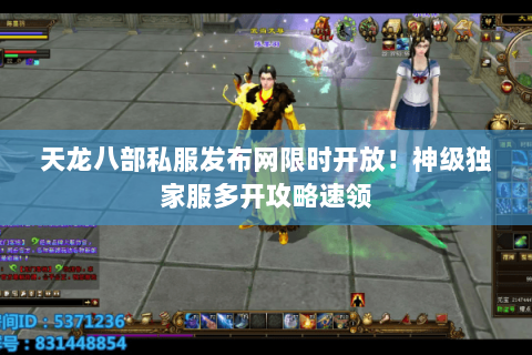天龙八部私服发布网限时开放！神级独家服多开攻略速领
