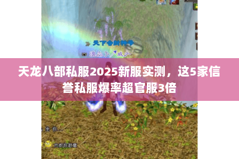 天龙八部私服2025新服实测,这5家信誉私服爆率超官服3倍 天龙八部私服2025新服实测,这5家信誉私服爆率超官服3倍
