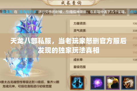 天龙八部私服，当老玩家怒删官方服后发现的独家玩法真相