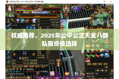 权威推荐,2025年公平公正天龙八部私服终极选择 权威推荐,2025年公平公正天龙八部私服终极选择