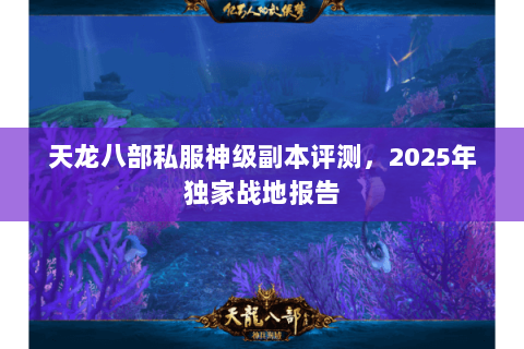 天龙八部私服神级副本评测，2025年独家战地报告