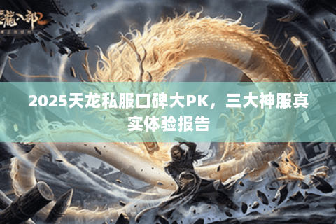 2025天龙私服口碑大PK,三大神服真实体验报告 2025天龙私服口碑大PK,三大神服真实体验报告