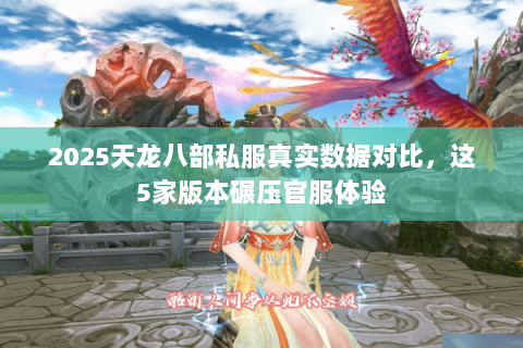 2025天龙八部私服真实数据对比，这5家版本碾压官服体验