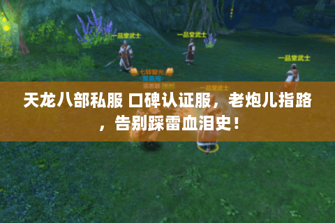 天龙八部私服 口碑认证服,老炮儿指路,告别踩雷血泪史! 天龙八部私服 口碑认证服,老炮儿指路,告别踩雷血泪史!