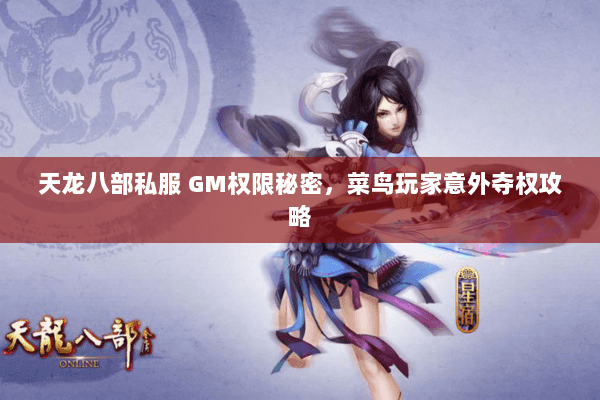 天龙八部私服 GM权限秘密，菜鸟玩家意外夺权攻略