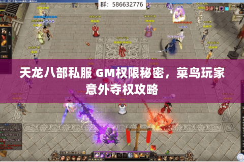 天龙八部私服 GM权限秘密，菜鸟玩家意外夺权攻略