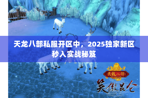 天龙八部私服开区中,2025独家新区秒入实战秘笈 天龙八部私服开区中,2025独家新区秒入实战秘笈