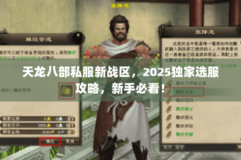 天龙八部私服新战区,2025独家选服攻略,新手必看! 天龙八部私服新战区,2025独家选服攻略,新手必看!