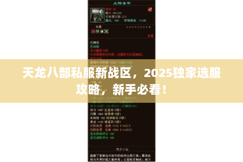 天龙八部私服新战区,2025独家选服攻略,新手必看! 天龙八部私服新战区,2025独家选服攻略,新手必看!