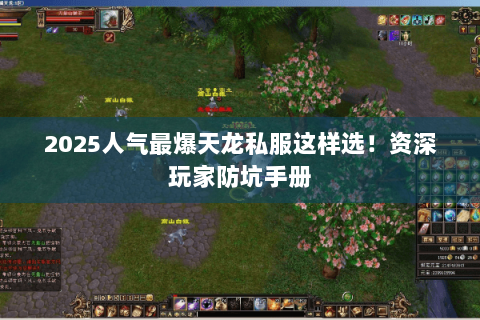 2025人气最爆天龙私服这样选!资深玩家防坑手册 2025人气最爆天龙私服这样选!资深玩家防坑手册