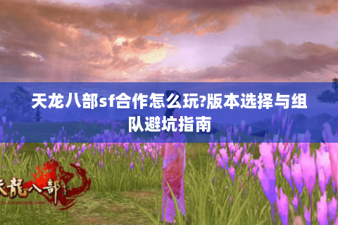 天龙八部sf合作怎么玩?版本选择与组队避坑指南 天龙八部sf合作怎么玩?版本选择与组队避坑指南