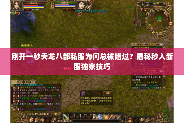 刚开一秒天龙八部私服为何总被错过?揭秘秒入新服独家技巧 刚开一秒天龙八部私服为何总被错过?揭秘秒入新服独家技巧