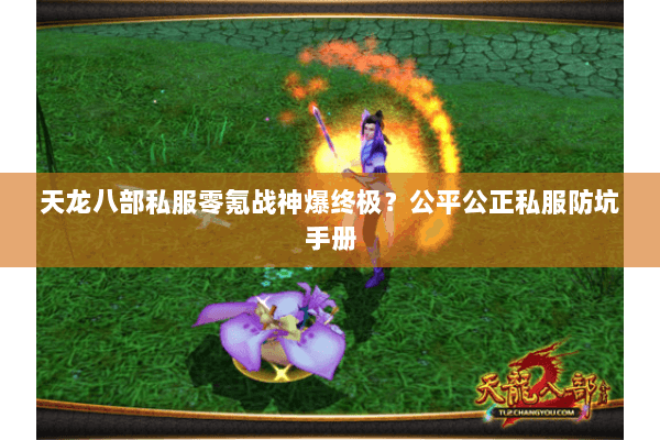 天龙八部私服零氪战神爆终极？公平公正私服防坑手册
