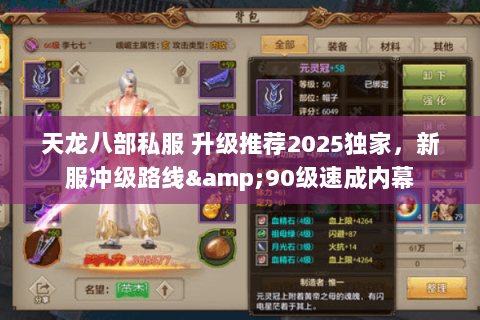 天龙八部私服 升级推荐2025独家，新服冲级路线&90级速成内幕