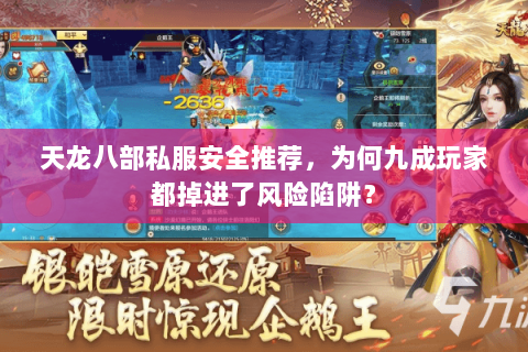 天龙八部私服安全推荐，为何九成玩家都掉进了风险陷阱？