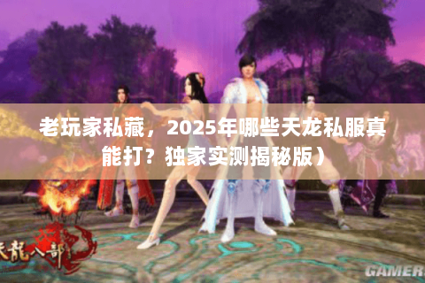 老玩家私藏，2025年哪些天龙私服真能打？独家实测揭秘版）