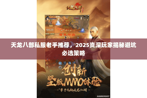 天龙八部私服老手推荐，2025资深玩家揭秘避坑必选策略