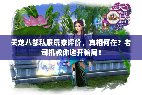 天龙八部私服玩家评价，真相何在？老司机教你避开骗局！